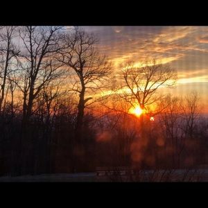 Meet your Posher, Carlos